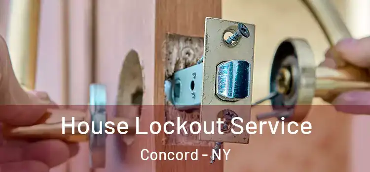  House Lockout Service Concord - NY