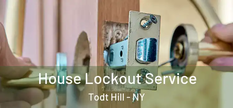 House Lockout Service Todt Hill - NY