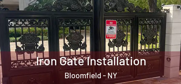 Iron Gate Installation Bloomfield - NY