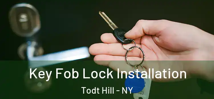 Key Fob Lock Installation Todt Hill - NY