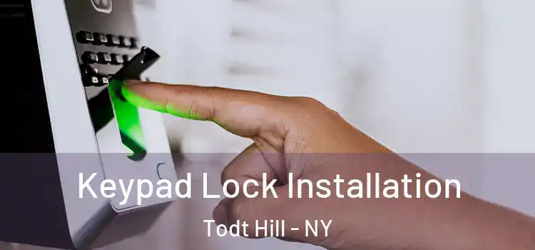Keypad Lock Installation Todt Hill - NY