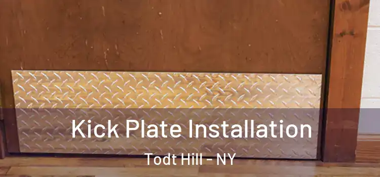  Kick Plate Installation Todt Hill - NY