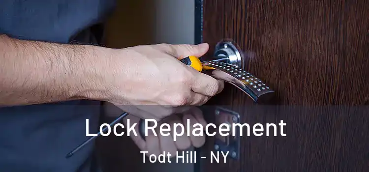 Lock Replacement Todt Hill - NY