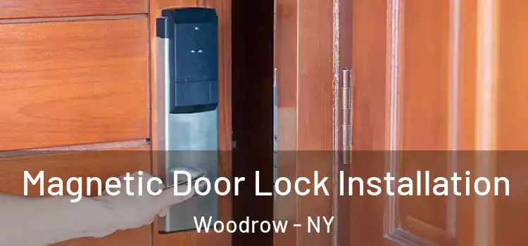  Magnetic Door Lock Installation Woodrow - NY
