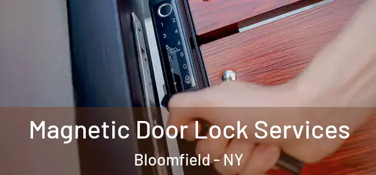 Magnetic Door Lock Services Bloomfield - NY