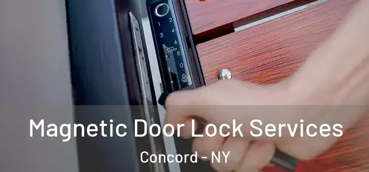  Magnetic Door Lock Services Concord - NY