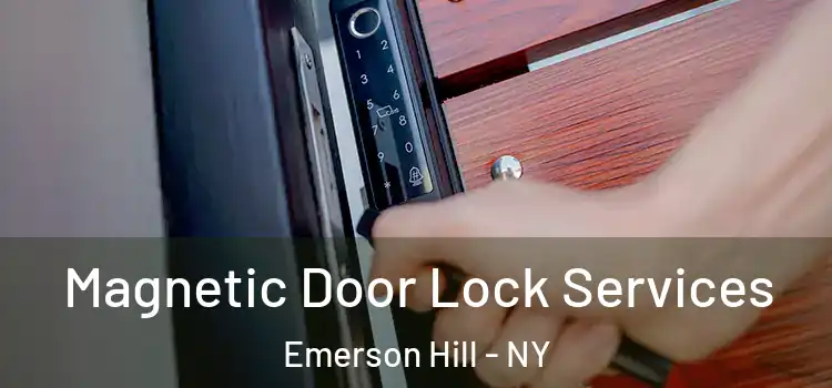 Magnetic Door Lock Services Emerson Hill - NY