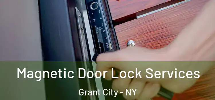 Magnetic Door Lock Services Grant City - NY