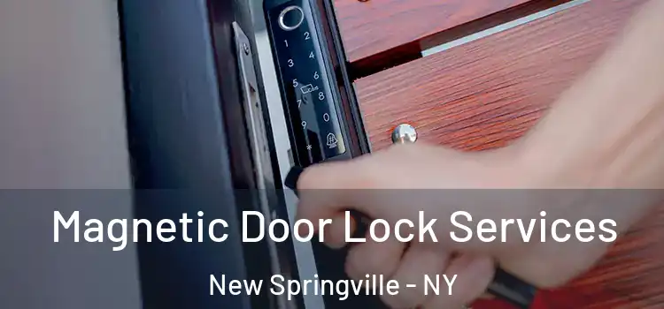 Magnetic Door Lock Services New Springville - NY
