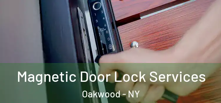 Magnetic Door Lock Services Oakwood - NY