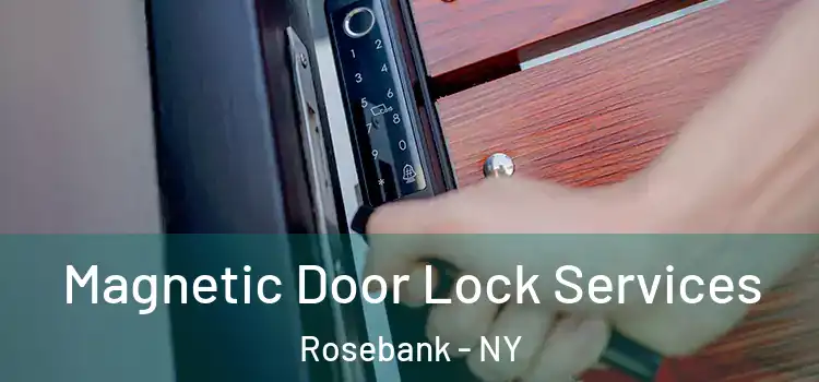 Magnetic Door Lock Services Rosebank - NY