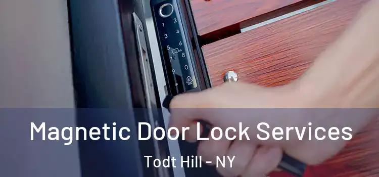  Magnetic Door Lock Services Todt Hill - NY