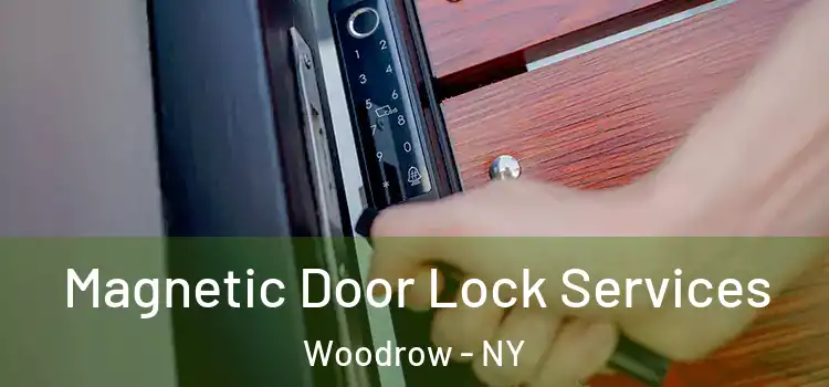 Magnetic Door Lock Services Woodrow - NY