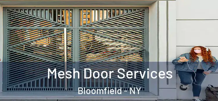  Mesh Door Services Bloomfield - NY