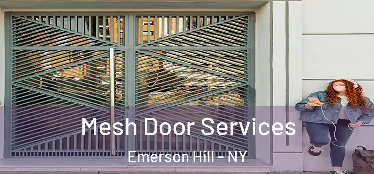  Mesh Door Services Emerson Hill - NY