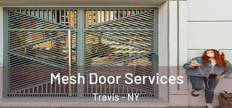 Mesh Door Services Travis - NY