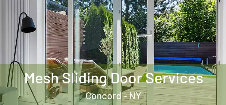 Mesh Sliding Door Services Concord - NY