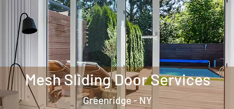 Mesh Sliding Door Services Greenridge - NY