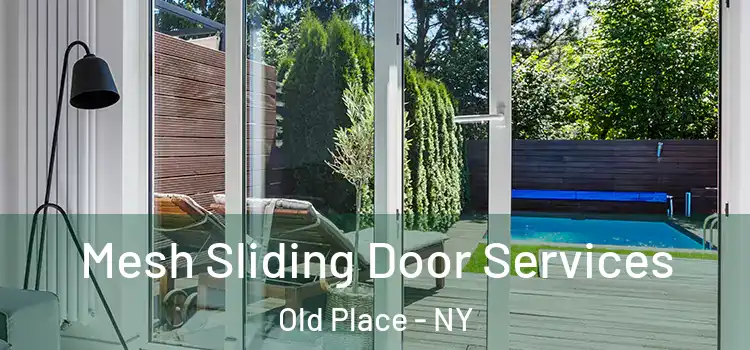 Mesh Sliding Door Services Old Place - NY