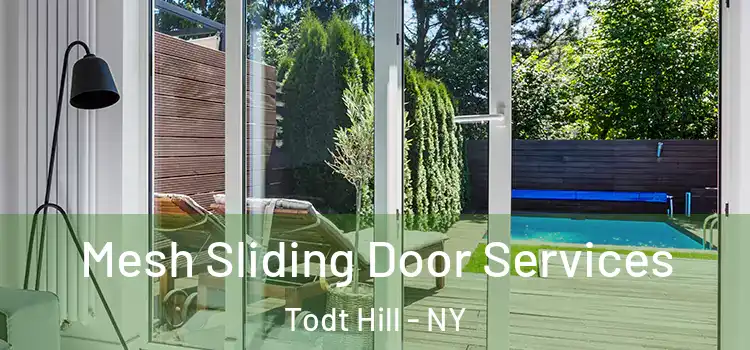 Mesh Sliding Door Services Todt Hill - NY