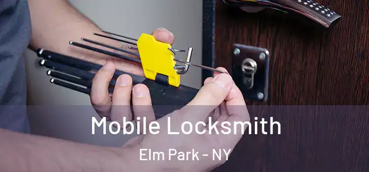 Mobile Locksmith Elm Park - NY
