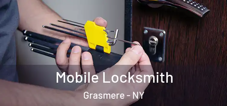 Mobile Locksmith Grasmere - NY