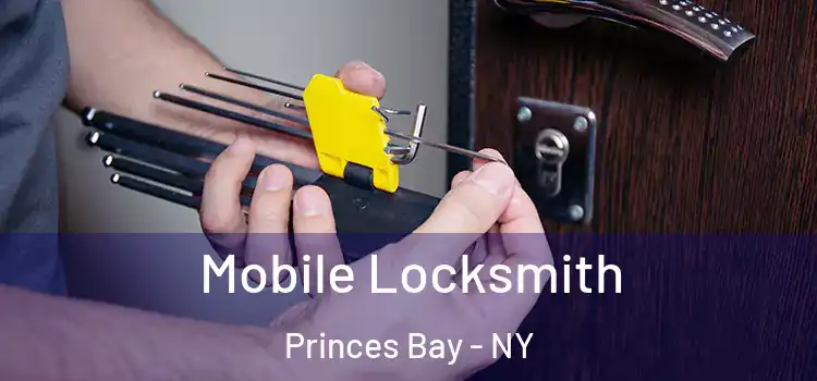 Mobile Locksmith Princes Bay - NY