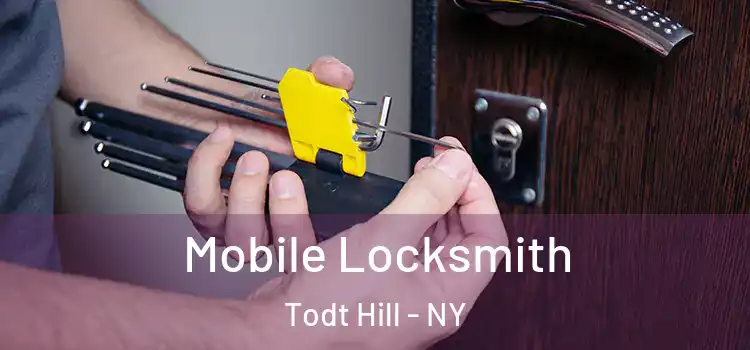Mobile Locksmith Todt Hill - NY