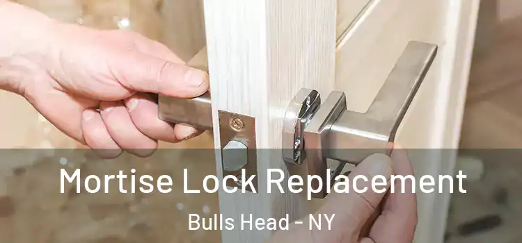  Mortise Lock Replacement Bulls Head - NY