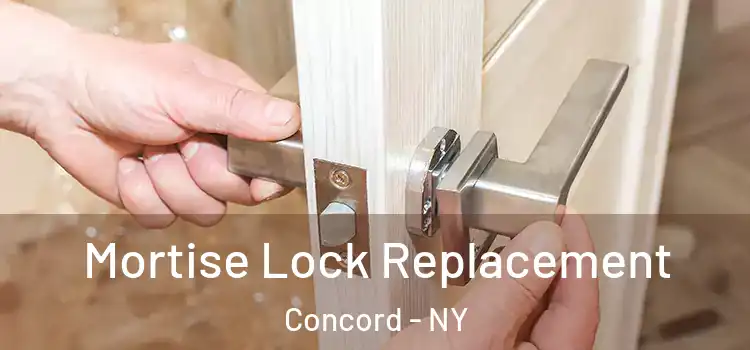  Mortise Lock Replacement Concord - NY