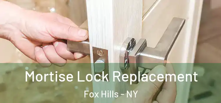  Mortise Lock Replacement Fox Hills - NY