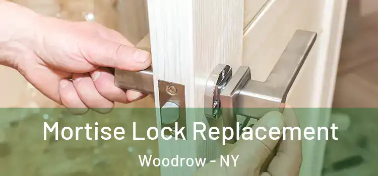  Mortise Lock Replacement Woodrow - NY