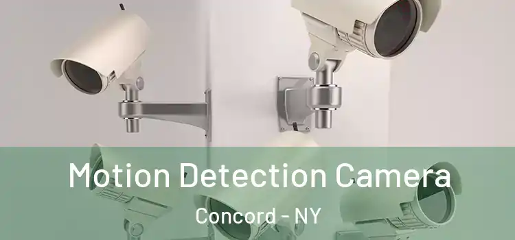  Motion Detection Camera Concord - NY