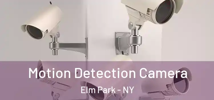  Motion Detection Camera Elm Park - NY