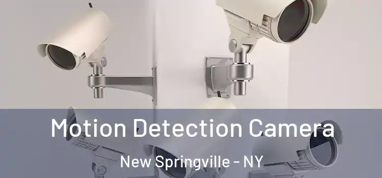  Motion Detection Camera New Springville - NY