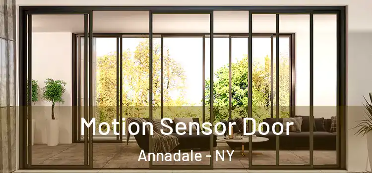 Motion Sensor Door Annadale - NY