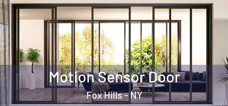 Motion Sensor Door Fox Hills - NY