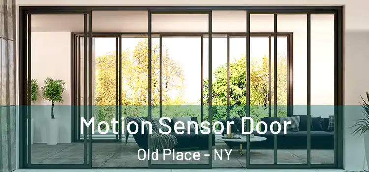 Motion Sensor Door Old Place - NY
