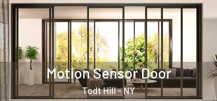 Motion Sensor Door Todt Hill - NY