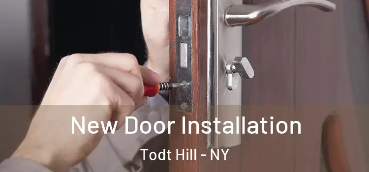 New Door Installation Todt Hill - NY