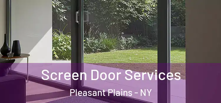 Screen Door Services Pleasant Plains - NY