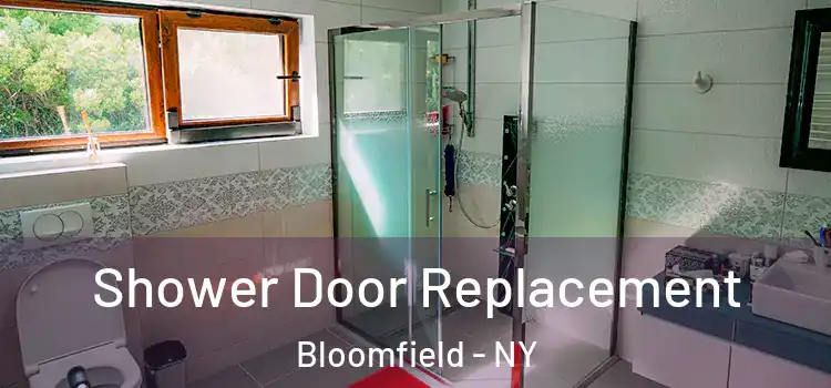  Shower Door Replacement Bloomfield - NY