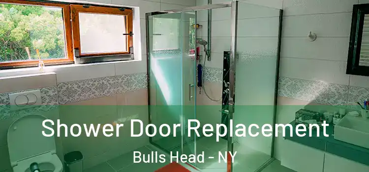  Shower Door Replacement Bulls Head - NY