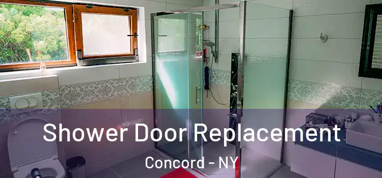  Shower Door Replacement Concord - NY