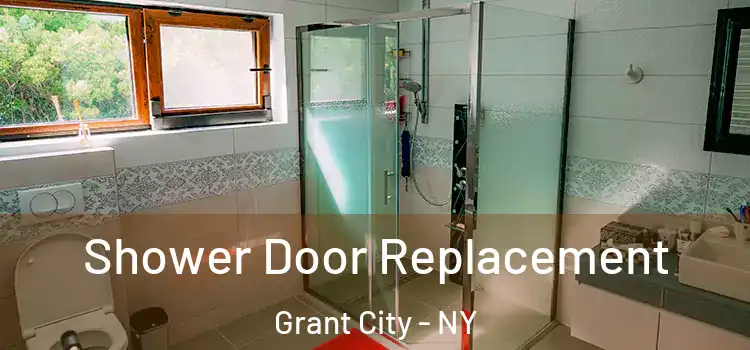 Shower Door Replacement Grant City - NY