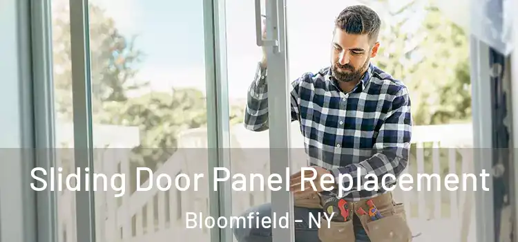  Sliding Door Panel Replacement Bloomfield - NY