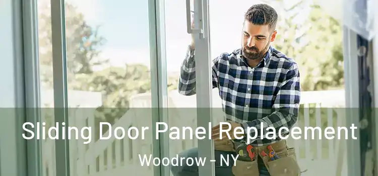  Sliding Door Panel Replacement Woodrow - NY