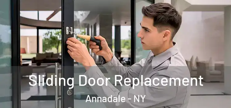  Sliding Door Replacement Annadale - NY