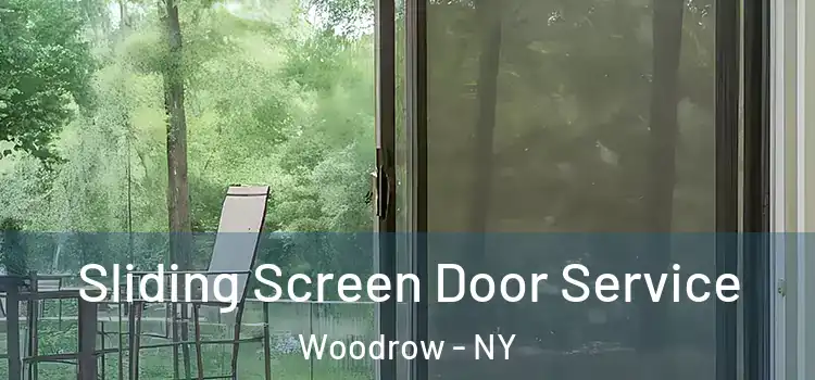 Sliding Screen Door Service Woodrow - NY