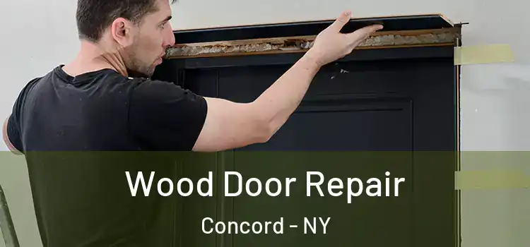  Wood Door Repair Concord - NY